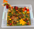 Scarecrow Harvest Wonder Tub