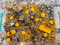 Little Builders Work Zone