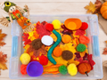Little Autumn Explorers Toddler Tub